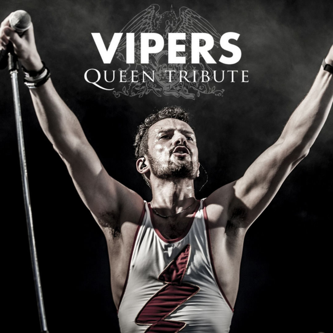 Vipers